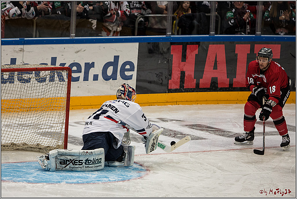 DEL, Koelner Haie - Eisbaeren Berlin, 12.02.2017